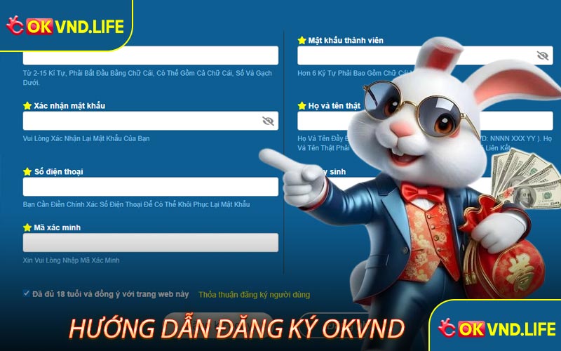 Hướng dẫn chi tiết quy trình đăng ký Okvnd