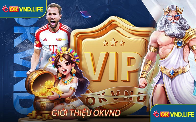 Giới thiệu Okvnd - Thông tin về nhà cái