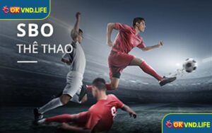 SBO thể thao